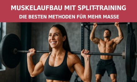 Muskelaufbau mit Split-Training: Die besten Methoden für mehr Masse