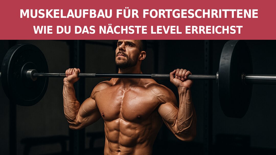Muskelaufbau-Fortgeschritte Muskelaufbau-Fortgeschritte